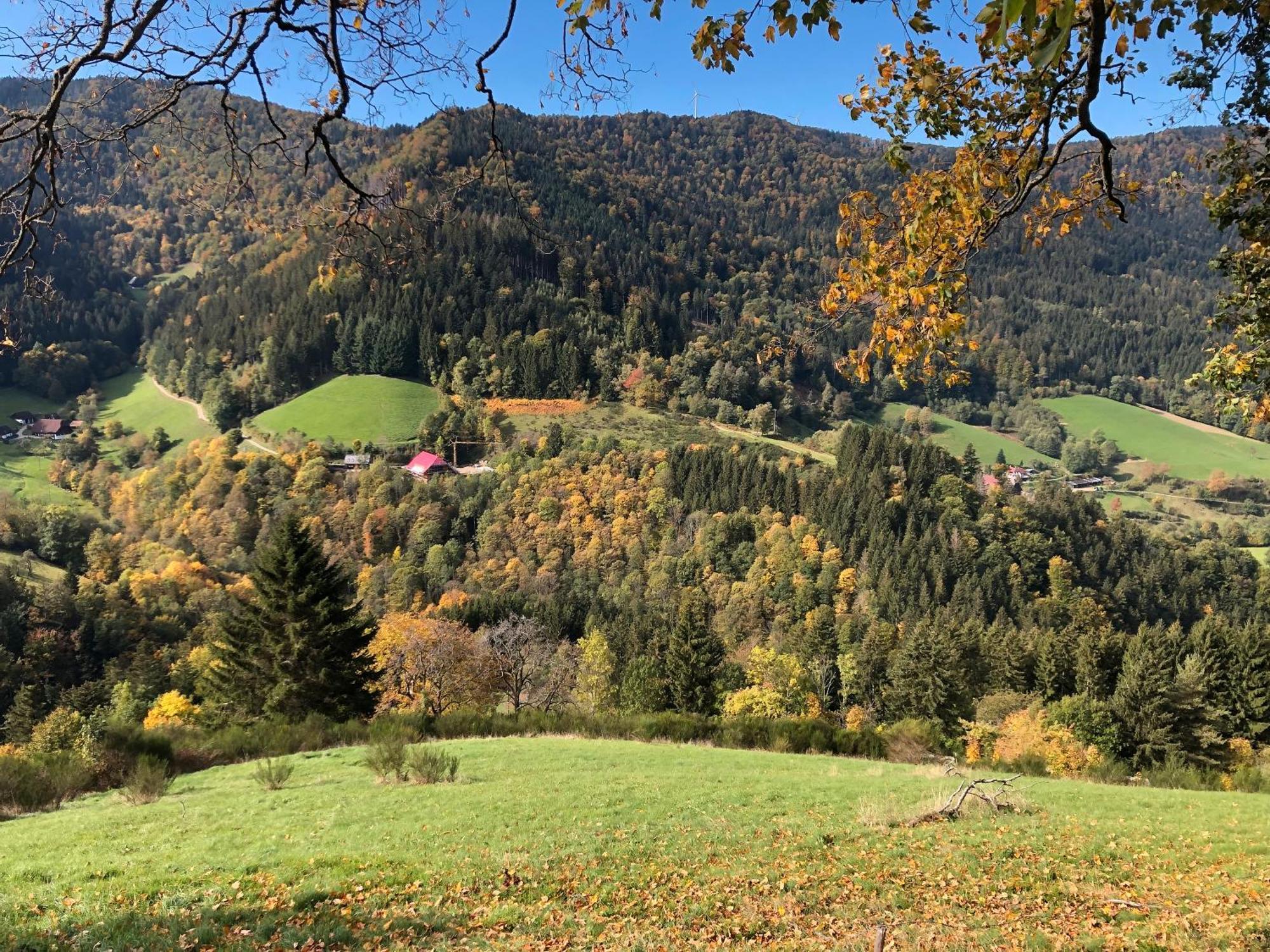 2 Zimmer Wohnung, Mit Sonnenterasse Schönwalde 外观 照片